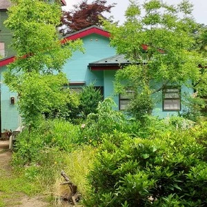 根小屋アフター
